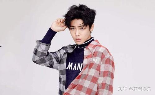 侯明昊家世爆料视频,豪门背景曝光,明星之路背后的故事 第1张 侯明昊家世爆料视频,豪门背景曝光,明星之路背后的故事 第1张