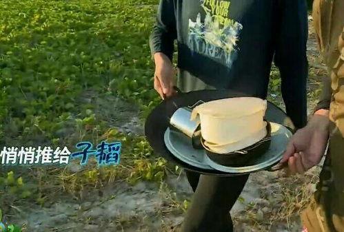 娱乐圈女艺人爆料石锤,揭秘娱乐圈背后的惊人真相 第3张 娱乐圈女艺人爆料石锤,揭秘娱乐圈背后的惊人真相 第3张